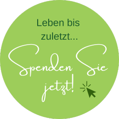 Jetzt spenden